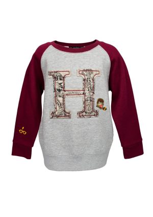 Kids Raglan Applique Sweatshirt